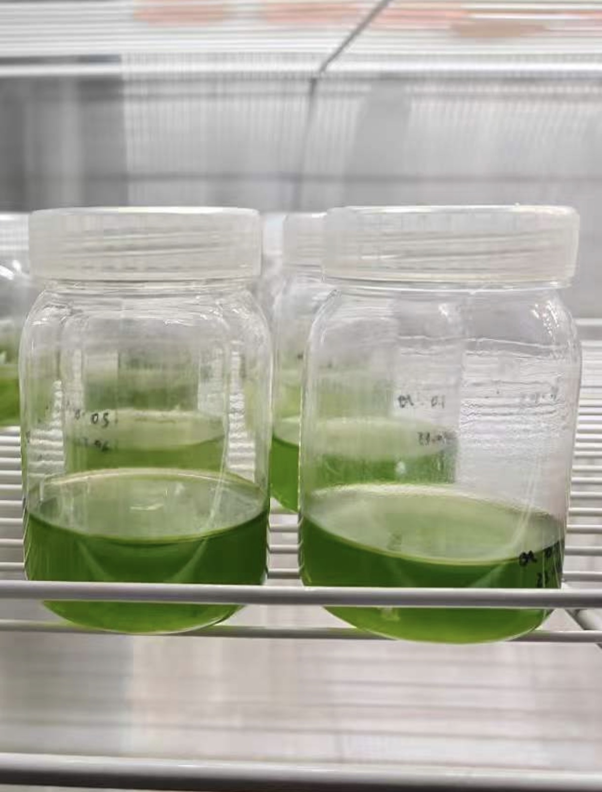 佳润生物研发场景二